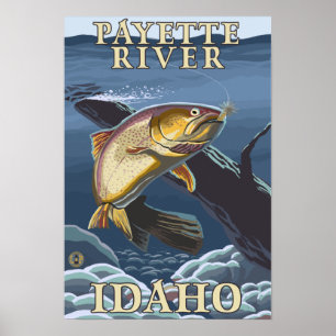Affiche Truite pêchant la section transversale - rivière