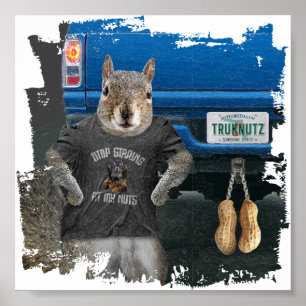 Affiche Truk Nutz - funny squirrel truck nuts