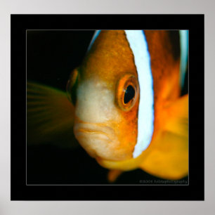 Affiche Truk Yamagiri Maru 009bbcr