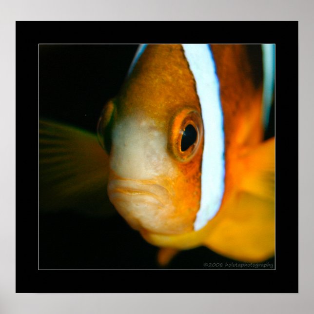 Affiche Truk Yamagiri Maru 009bbcr (Devant)