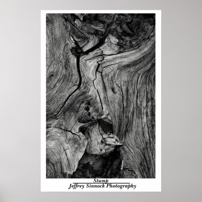 Affiche Trump (Devant)