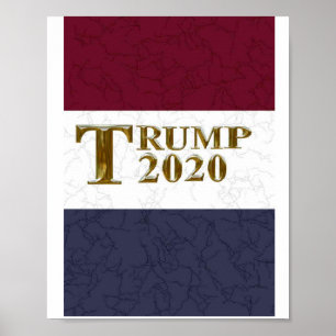 AFFICHE TRUMP 2020