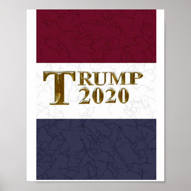 AFFICHE TRUMP 2020 (Devant)