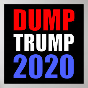 Affiche Trump 2020 contre Trump