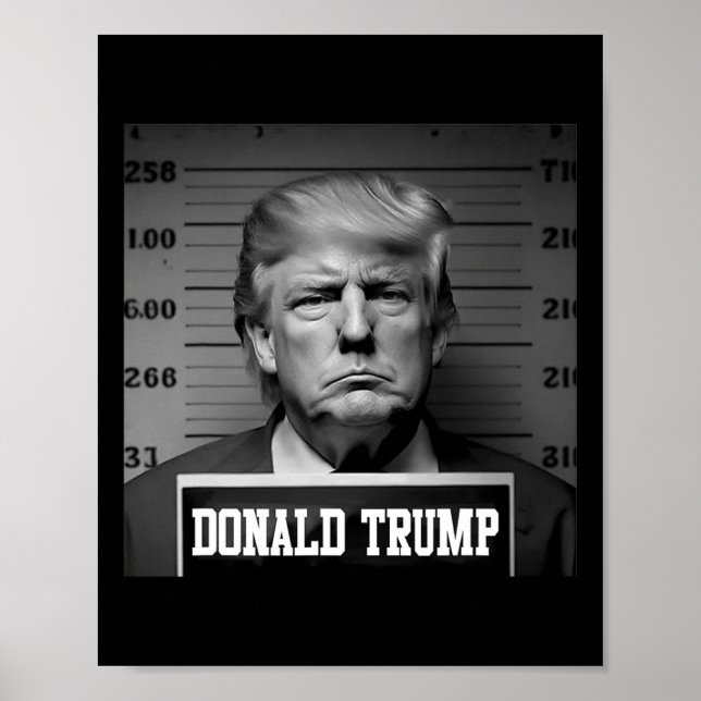 Affiche Trump 2024 Mugshot Trump Mug Shot Président (Devant)