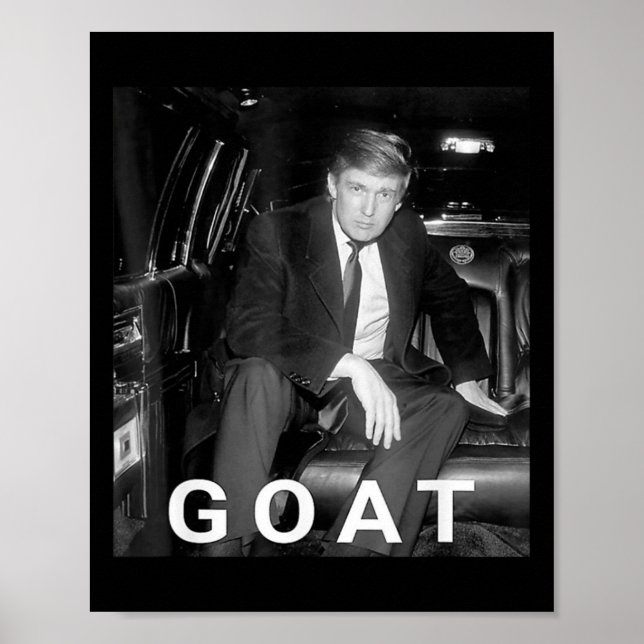 Affiche Trump 2024 Young Trump (Devant)