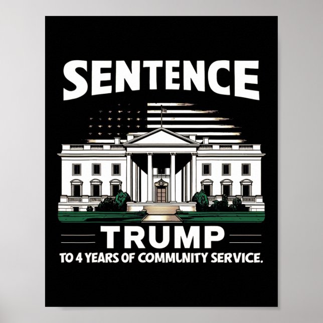 Affiche Trump à 4 ans de travaux d'intérêt général Pro Tru (Devant)
