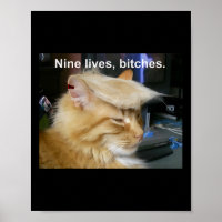 Trump Cat Nine vit drôle Trump 2024 Vote Électio