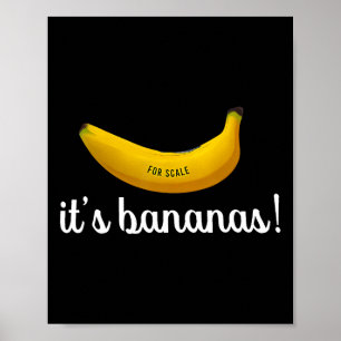 Affiche Trump C'est Nana (pour l'échelle) drôle 2