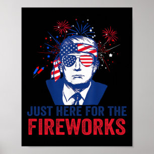Affiche Trump est juste ici pour les feux d'artifice drôle