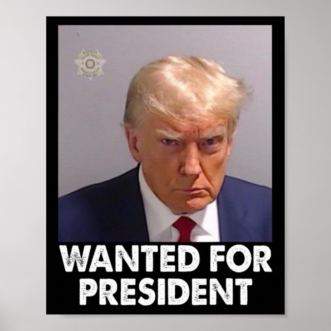 Affiche Trump Funny Recherché Pour Le Président 2024 (Devant)