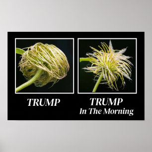 Affiche Trump Hair