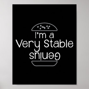 Affiche Trump Je Suis Un Génie Très Stable Et J'Aime Les B