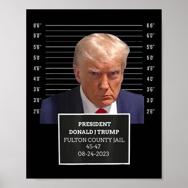 Affiche Trump Mug Shot Président Donald J Trump Mugshot 20 (Devant)