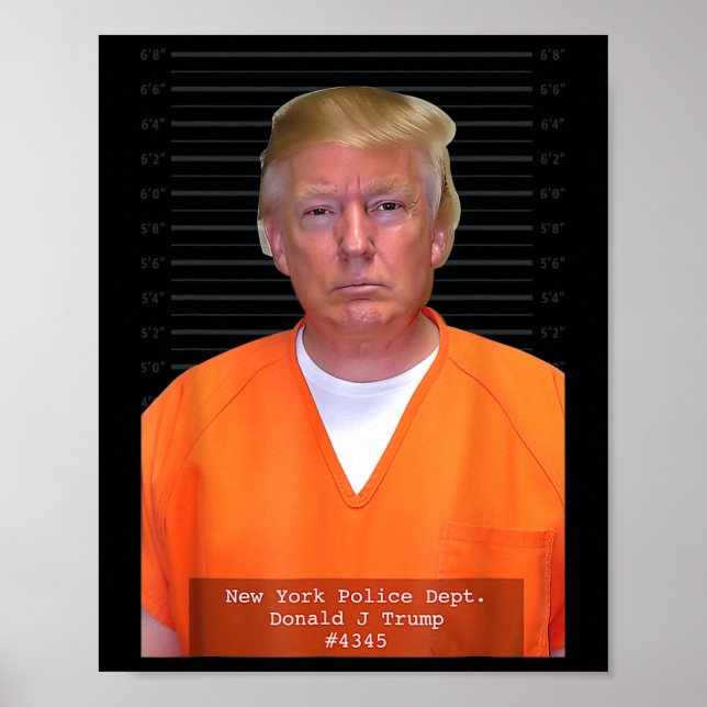Affiche Trump Mug Shot Range Jumpsuit Parodie Derrière Les (Devant)