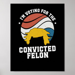 Affiche Trump Nous Le Peuple