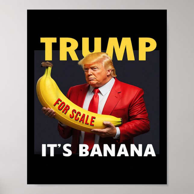 Affiche Trump Pour Scale Bynana (Devant)