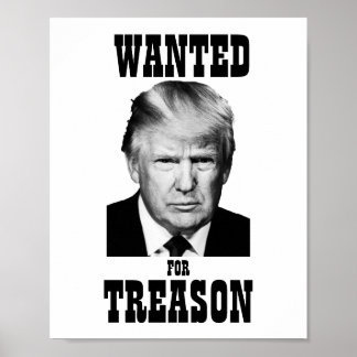 Affiche Trump - Trahison Recherchée de l'affiche