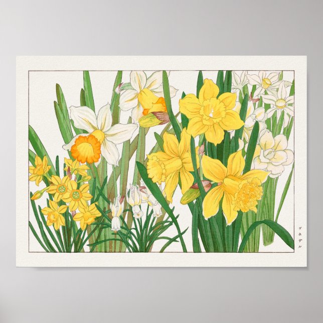 Affiche Trumpet narcissus de Tanigami Konan (Devant)