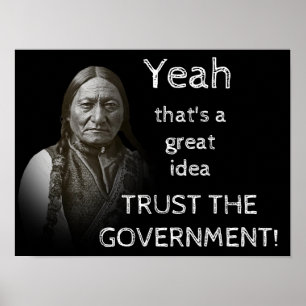 Affiche Trust The Government