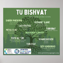 Tu Bishvat - Nouvel An des arbres - en 10 Juifs