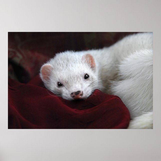 Affiche Tu chantais est bien... (Devant)