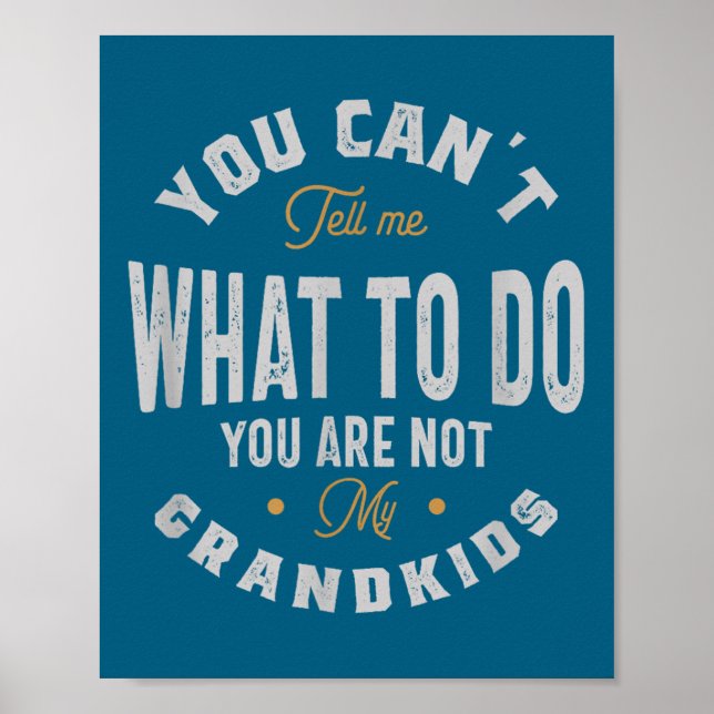 Affiche Tu ne peux pas me dire quoi faire, tu n'es pas mes (Devant)
