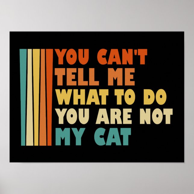 Affiche Tu ne peux pas me dire quoi faire, tu n'es pas mon (Devant)