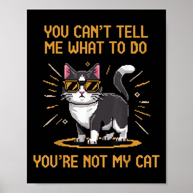 Affiche Tu ne peux pas me dire quoi faire, tu n'es pas mon (Devant)