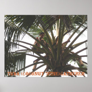 Affiche Tuba (Coconut Wine) Gatherer, Tuba (Coconut Win...