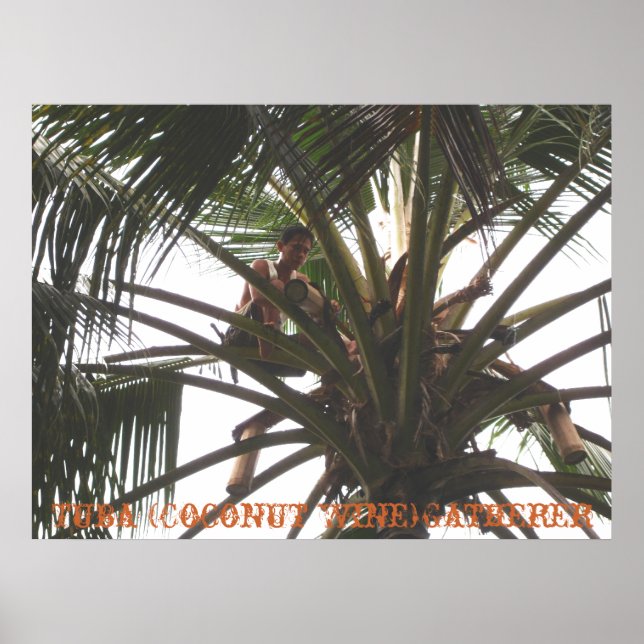 Affiche Tuba (Coconut Wine) Gatherer, Tuba (Coconut Win... (Devant)