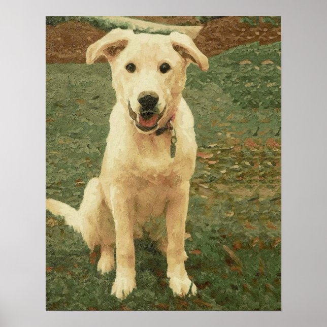 Affiche Tucker  (Devant)