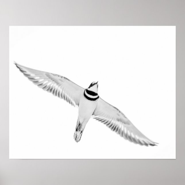 Affiche Tueur en flammes (Devant)