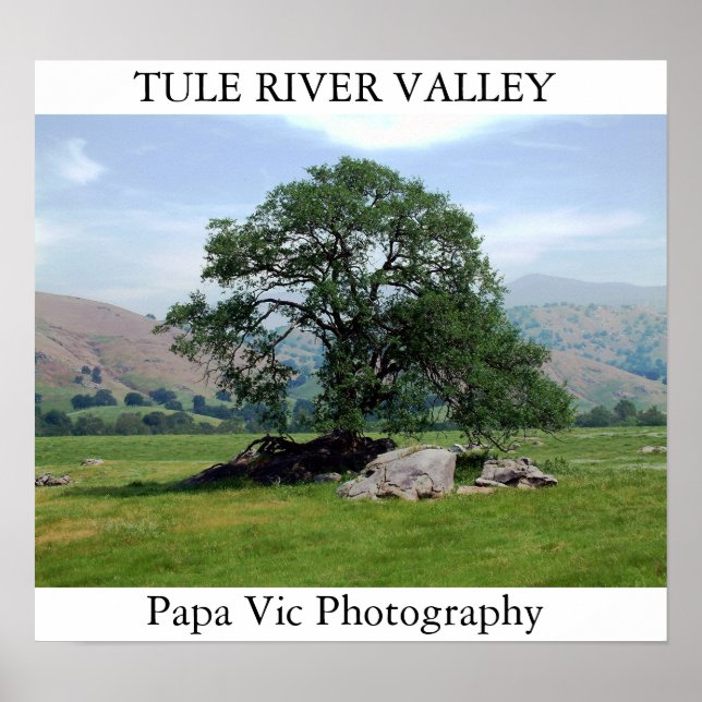 AFFICHE TULE RIVER VALLEY (Devant)