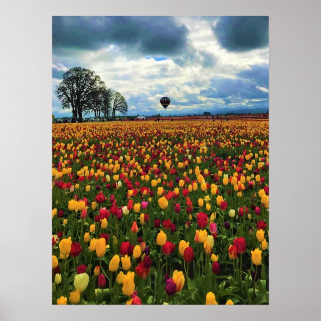 Affiche Tulip Farm (Devant)