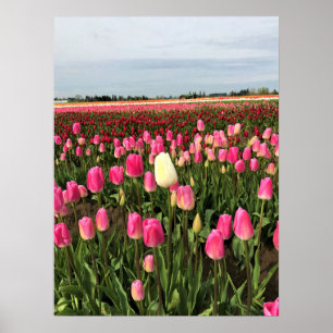 Affiche Tulip Farm