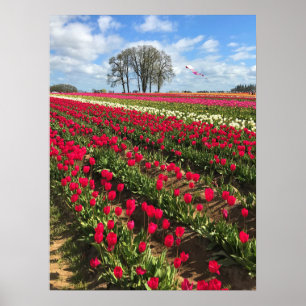 Affiche Tulip Field with Kite