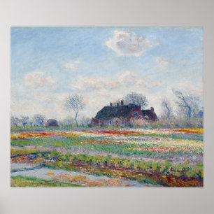 Affiche Tulip Fields at Sassenheim by Claude Monet
