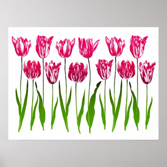 Affiche Tulip Garden Imprimer en rose et vert Fuchsia (Devant)