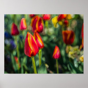 Affiche Tulip Garden Texté