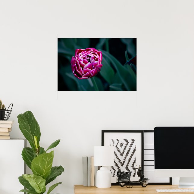 Affiche Tulip rose moisi (Bureau à domicile)