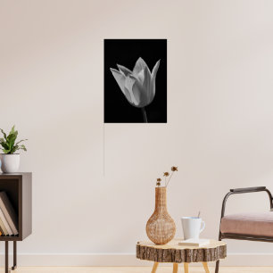 Affiche Tulipe