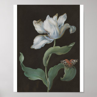 Affiche Tulipe avec une Arctiide par B. R. Dietzsch