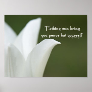 Affiche Tulipe de la paix