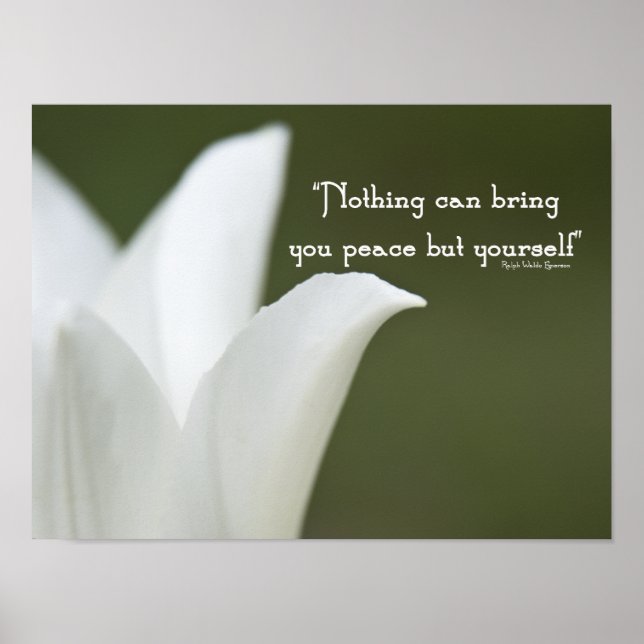 Affiche Tulipe de la paix (Devant)