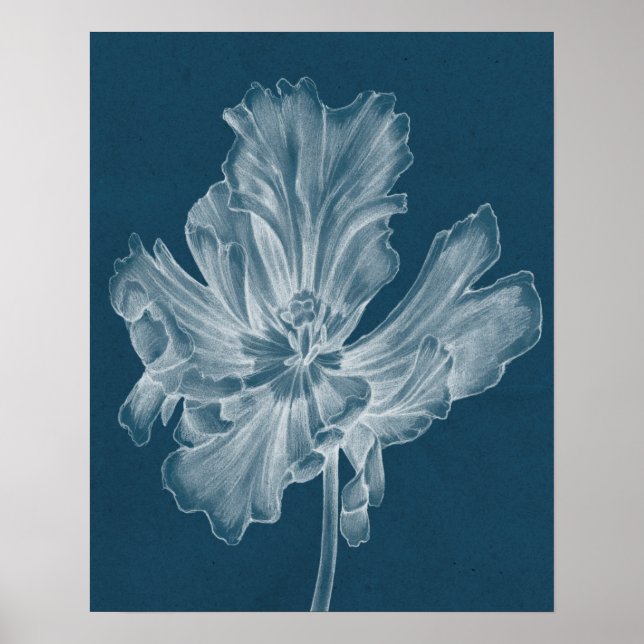 Affiche Tulipe monochrome II (Devant)