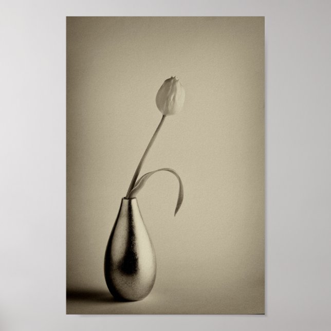 Affiche Tulipe tonique sépia vieilli dans le vase (Devant)