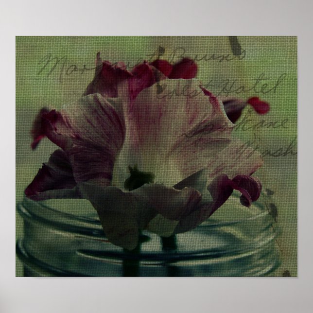 Affiche Tulipes (Devant)