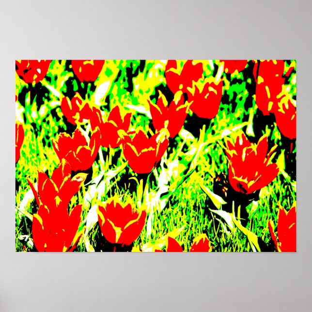 Affiche Tulipes (Devant)