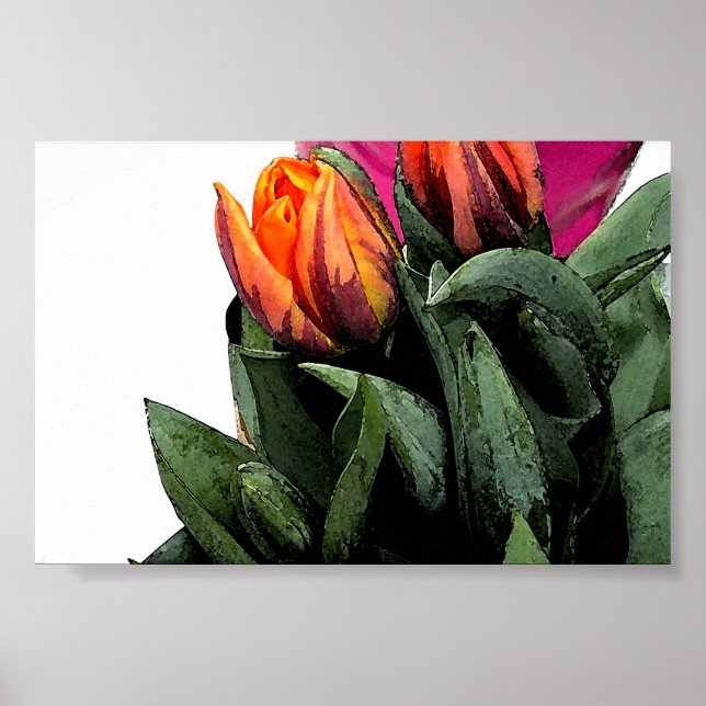 Affiche Tulipes à nouveau (Devant)
